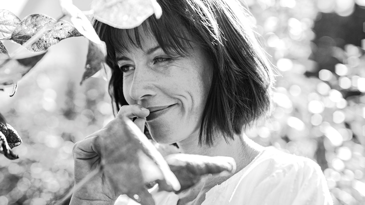 Bio Hanföl kaufen als pflanzliche Omega-3 und Omega-6-Quelle Bio Hanföl kaufen als pflanzliche Omega-3 und Omega-6-Quelle