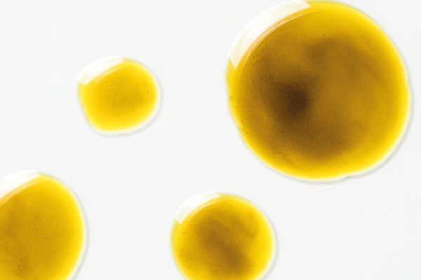 Vierbeiner besitzen ebenfalls ein Endocannabinoid-System Vierbeiner besitzen ebenfalls ein Endocannabinoid-System