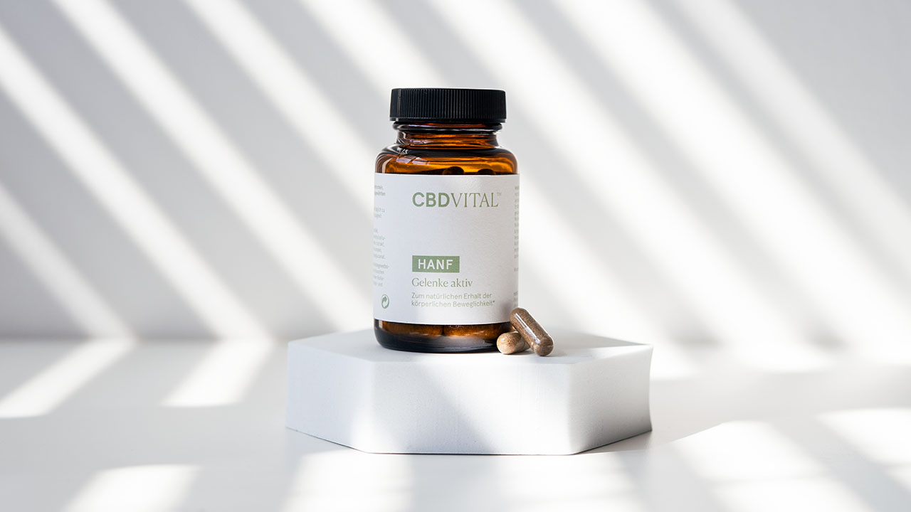 Spezialformel für Knorpel und Knochen Spezialformel für Knorpel und Knochen