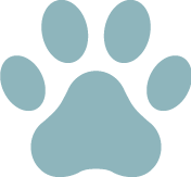 Bringt die Katze zum Schnurren Bringt die Katze zum Schnurren