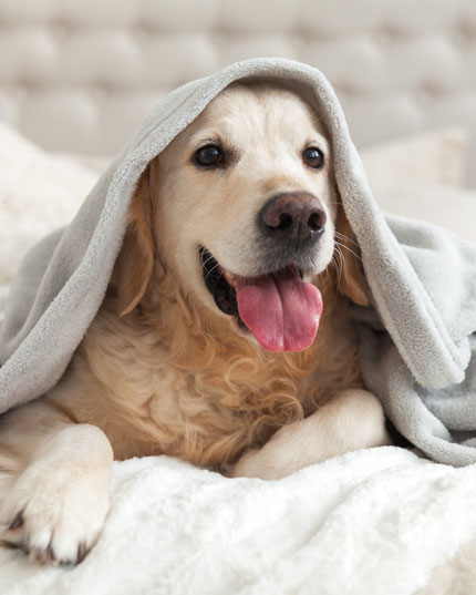 Ohne Chemie und künstliche Zusätze Ohne Chemie und künstliche Zusätze